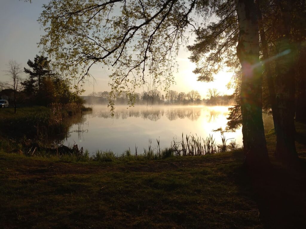 Idyllische Landschaft am See