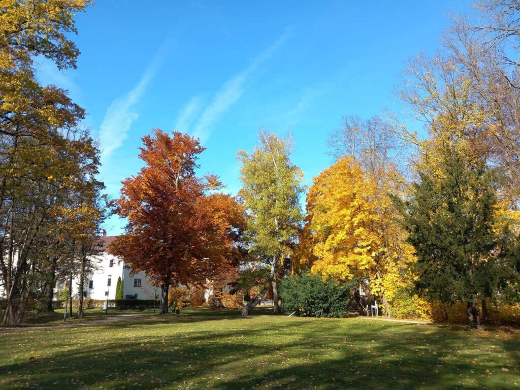Herbstliche Landschaft mir bunten Bäumen
